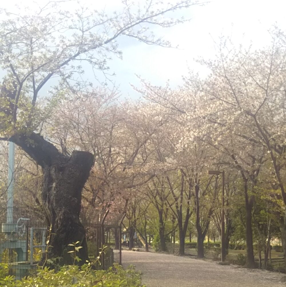 かねみつ