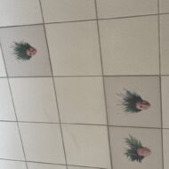 ぺいすーだー
