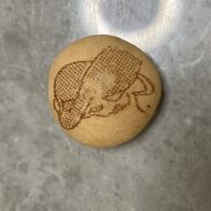 ことりつま