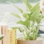 カワシマサチヨ