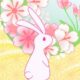たまゆら